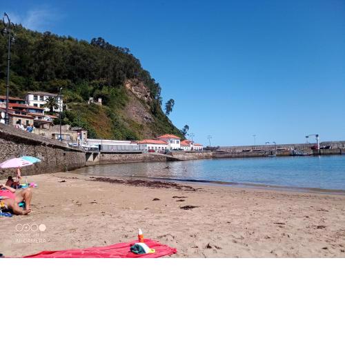 Tazones 79