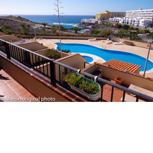 Tenerife lizards - duplex in the first line