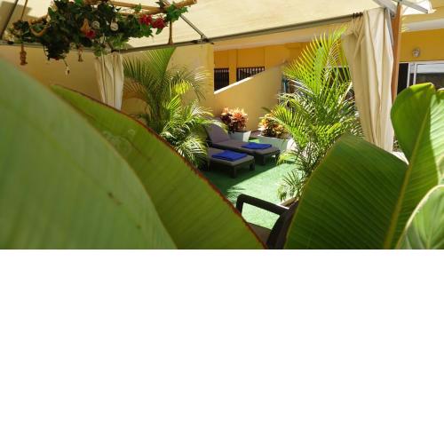 Terraza Los Cristianos