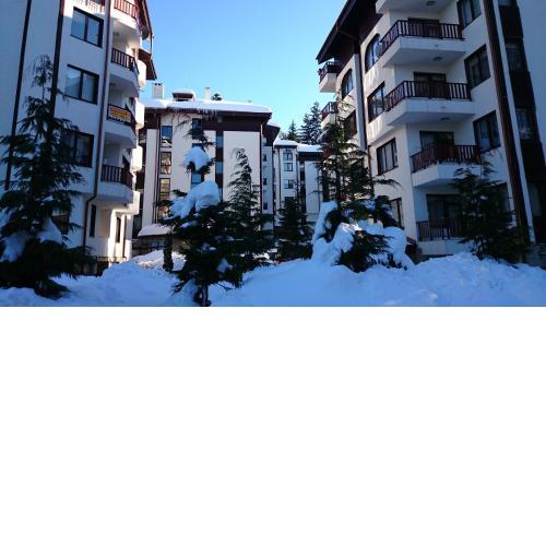 TES Flora Apartments