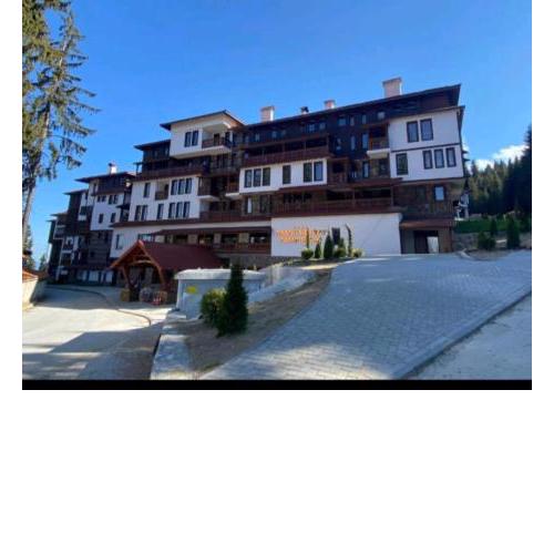 " The Best Place " in Grand Resort Pamporovo