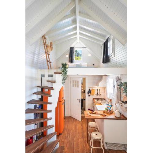The Box House & Charming Private Tiny House & Pool