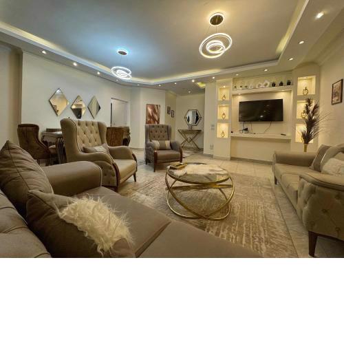 The Cozy Apartment