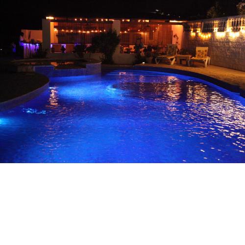 The Dragonfly Retreat
