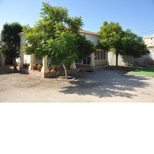 The House