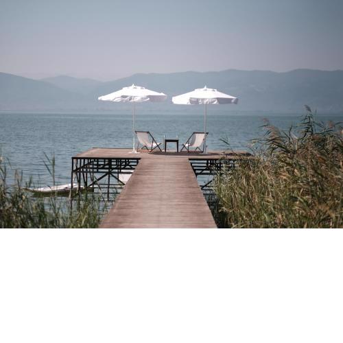 The Lake House
