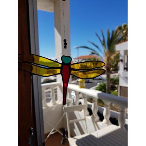 The Magic Dragonfly!
