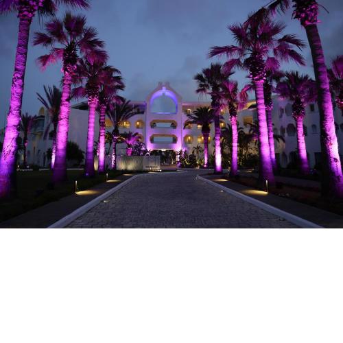 The Mirage Resort & SPA