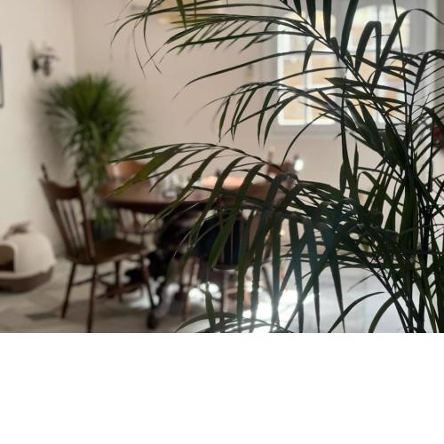 The Nest, Zamalek