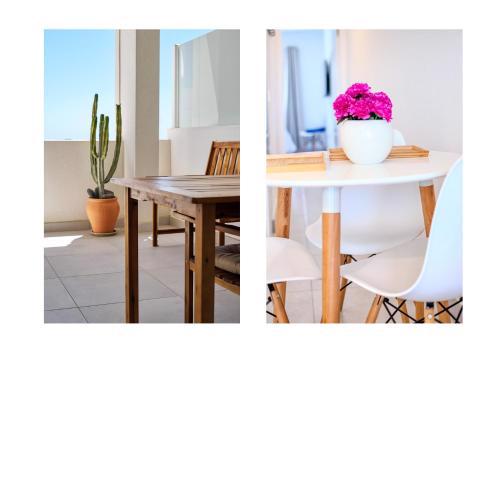 The Ocean View Senator modern apartment