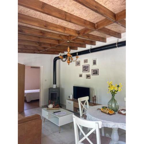 The OliveOrange Grove House!