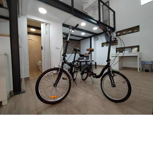 THE PHOTOGRAFIC LOFT