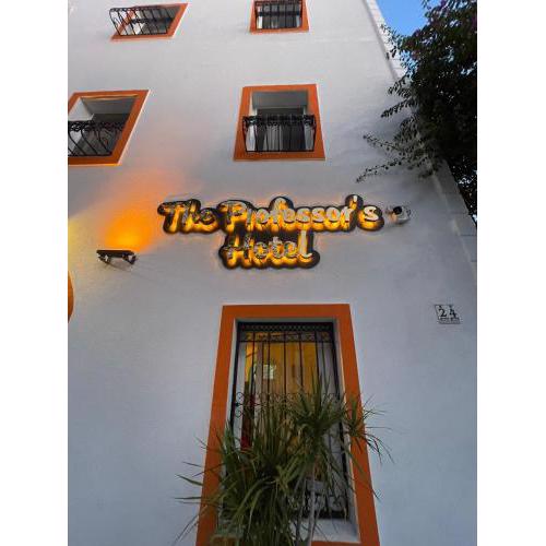 The Professor's Hotel