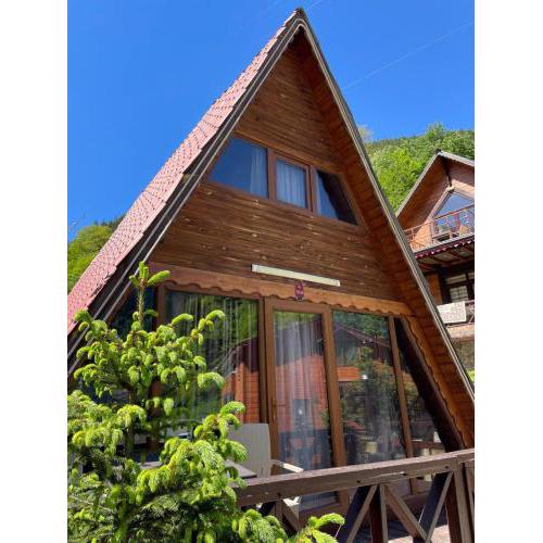 THE WOODEN house