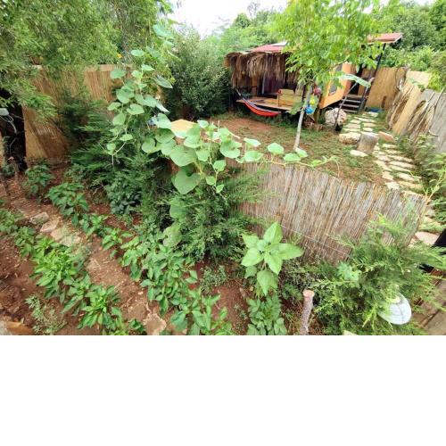 Tiny House Ceviz Kayaköy Jungle Camping