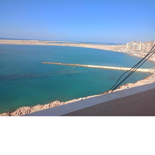 TM team investment - roof on the beach in abu quir