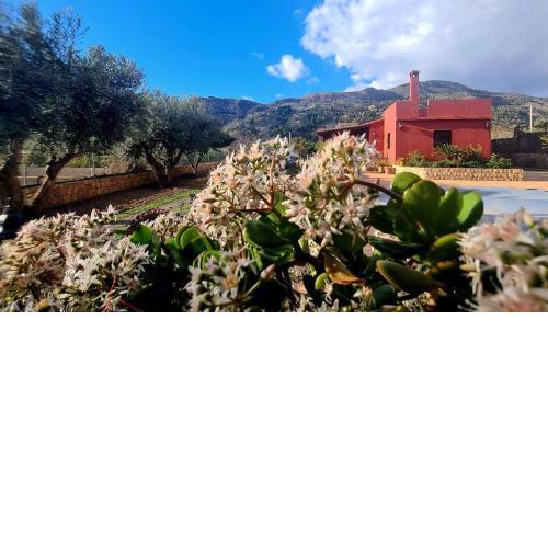 TODIMER FINCA ALPUJAREÑA