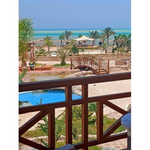 Tony's Privy Beds by Red Sea