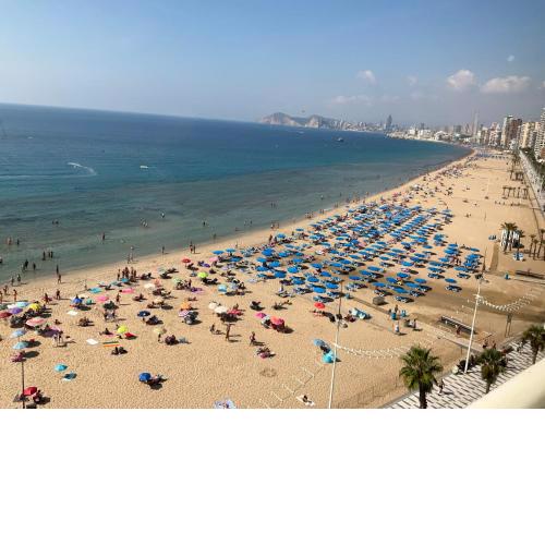 Torre Principado-Fincas Benidorm