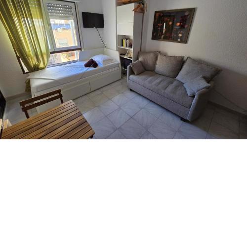 Torrevieja Center Studio SanPascual69