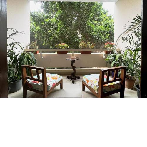 Tree house, Zamalek