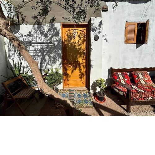 Tree Trunk studio