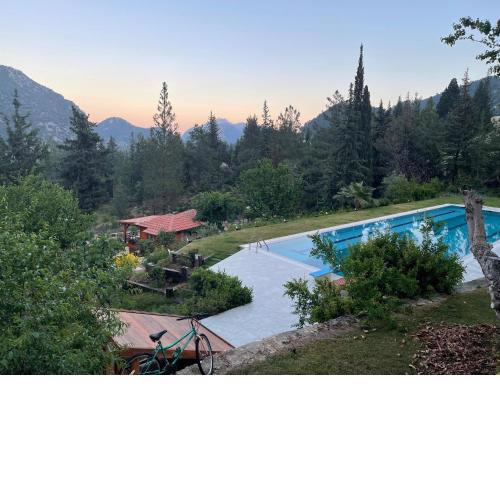 Trinitys Forest Bungalows