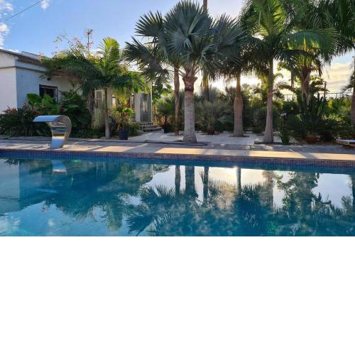 Tropical Paradise Villa in Torrevieja