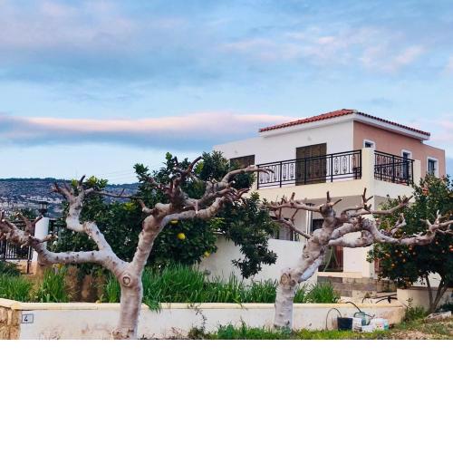 TROUZINI VILLA 2