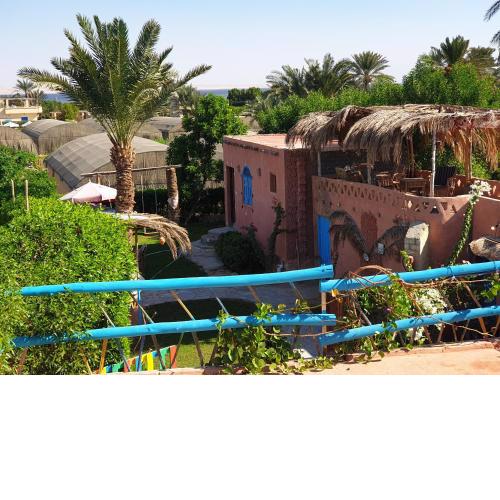 Tunis Camp
