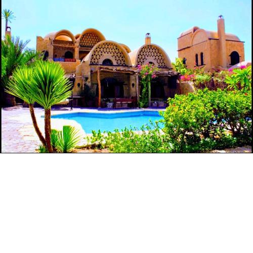 Tunis Lake View