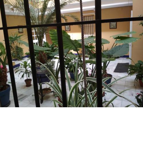 Two Bedrooms Leonor Davalos 2