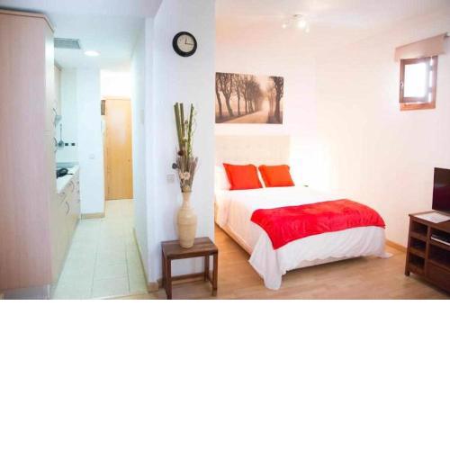 Un ideal estudio para conocer Madrid