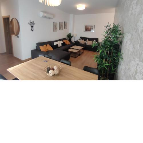 Unique apartment in Málaga city center with pool