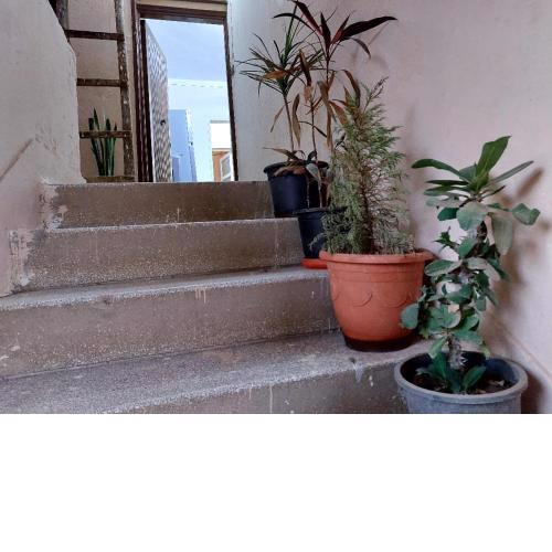 Unique apartment