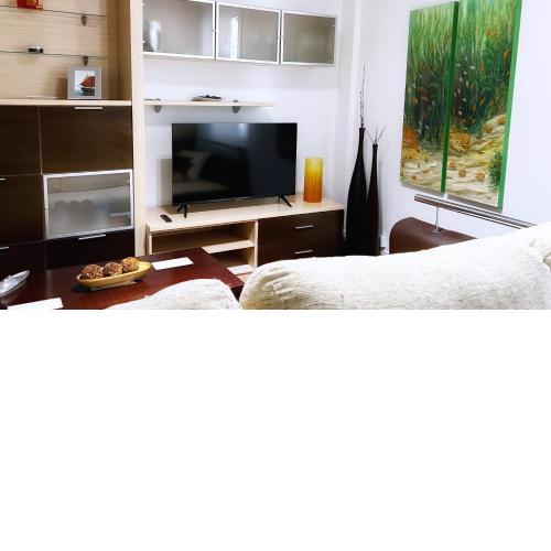 Uribarri A Vivienda Turística urbana con wifi