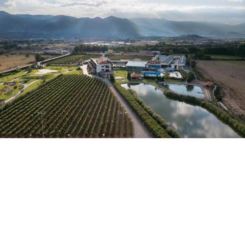 Uva Nestum Wine & SPA