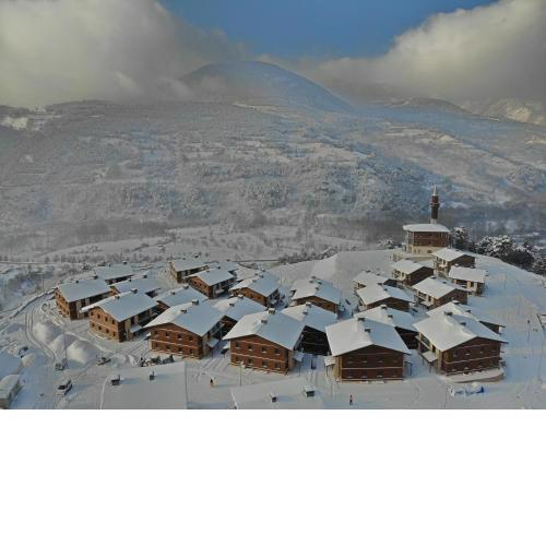 V Orman Resort