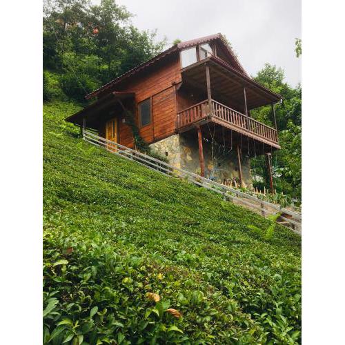 Vadi dağ evi bungalov
