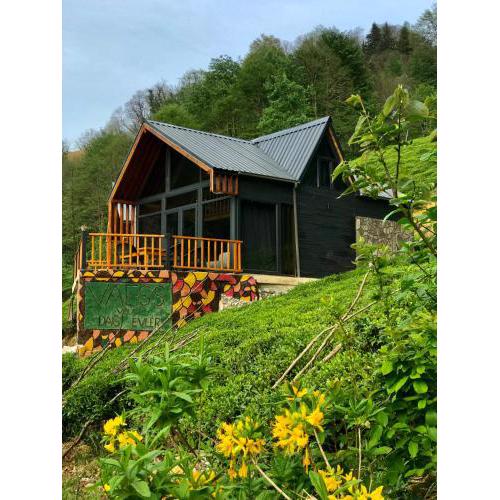 VAESS Villa Dağ Evleri