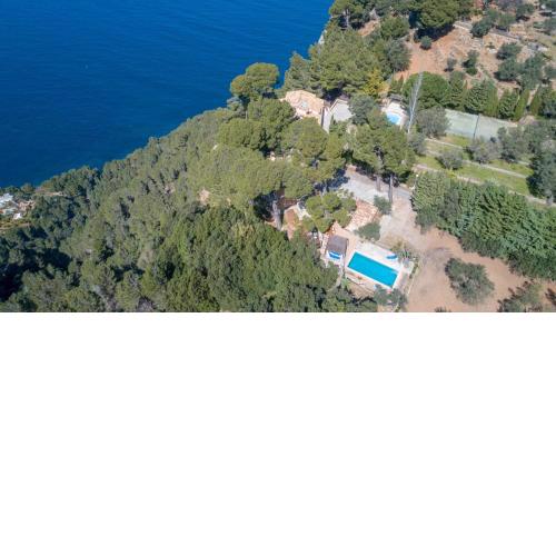 Valldemossa - 265998