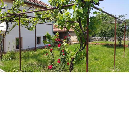 Vedra Guest House