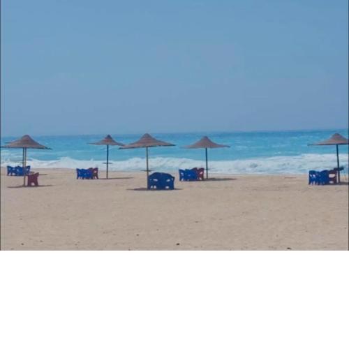 Venus 1 Resort North Coast - Villa 4 Bedrooms
