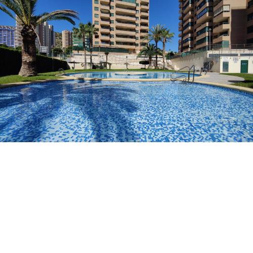 VEREMAR honey apartment