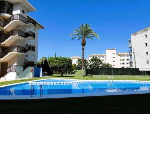 Vibrant central Albir pad