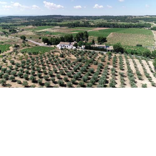 VILASIRA ( Rooms & Wines )