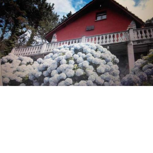 Villa Alejandra