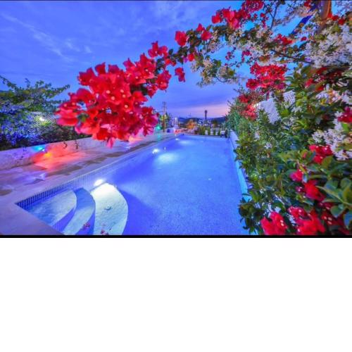 Villa Arissa