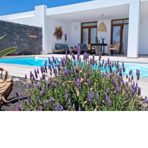 Villa Chinchorro