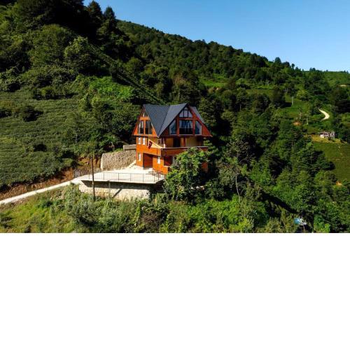 Villa Emir